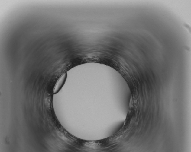 X0000093360231200711081521