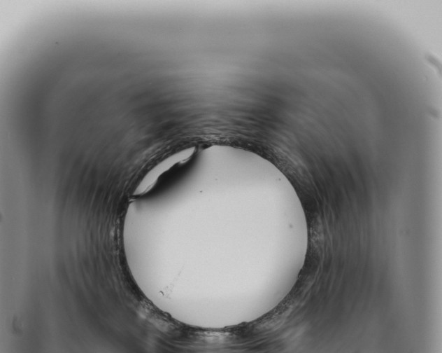 X0000093360233200711081521