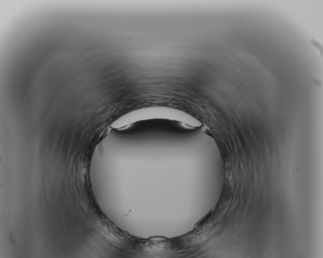 X0000093360235200711081521