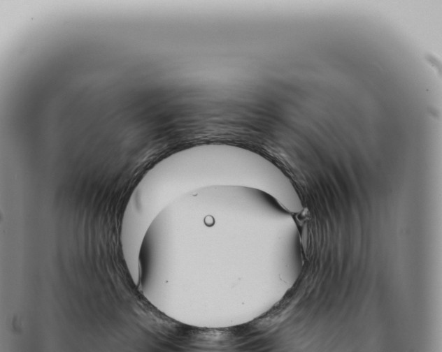 X0000093360237200711081521