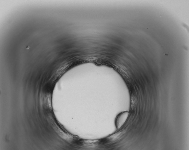 X0000093360238200711081521