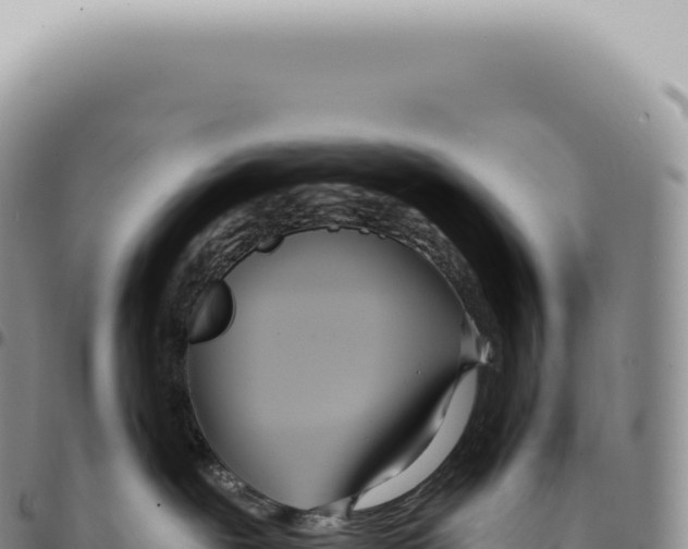 X0000093360239200711081521