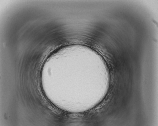 X0000093360241200711081520