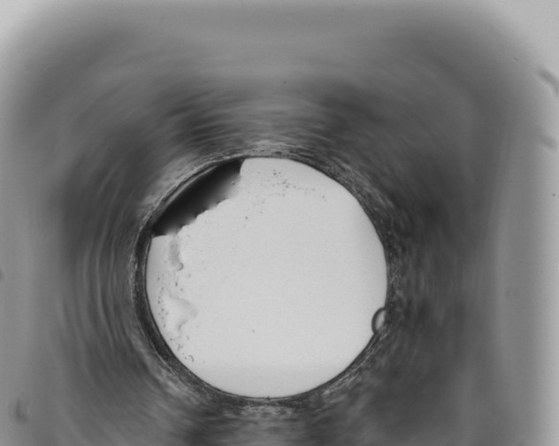 X0000093360242200711081520