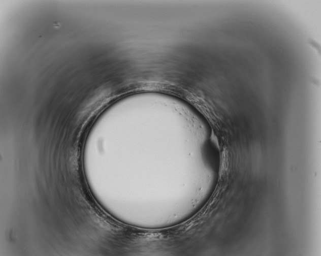 X0000093360243200711081520