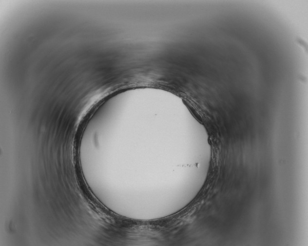 X0000093360244200711081520