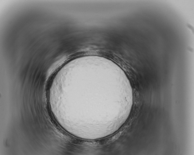 X0000093360245200711081520