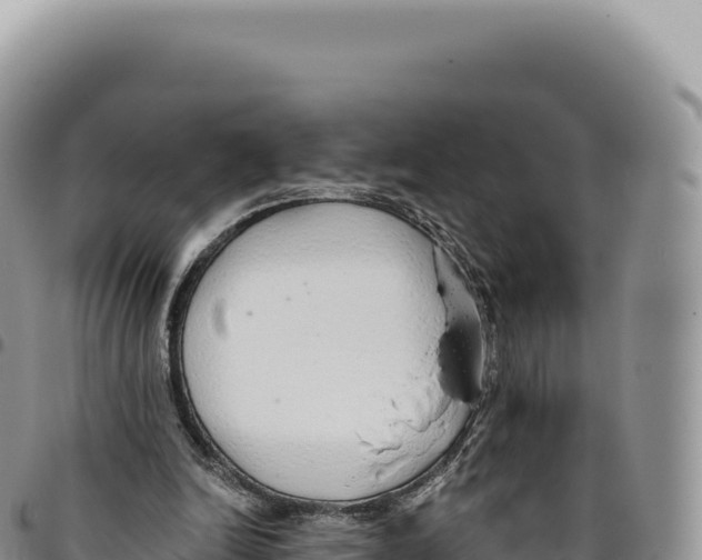 X0000093360246200711081520