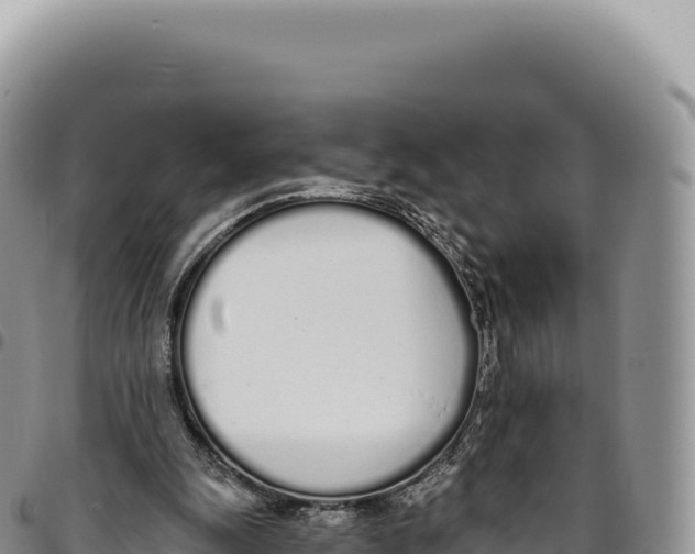 X0000093360247200711081521