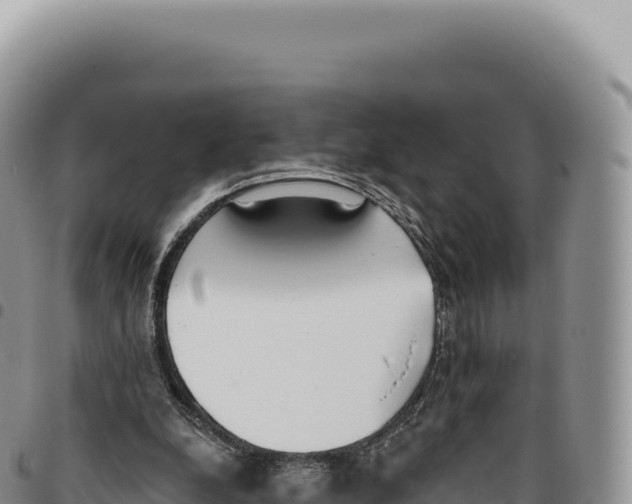 X0000093360248200711081521