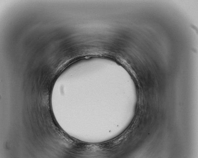X0000093360249200711081521