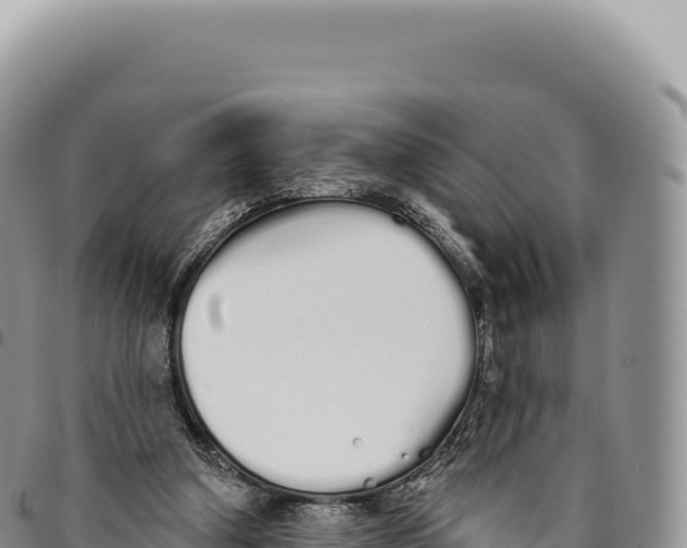 X0000093360250200711081521