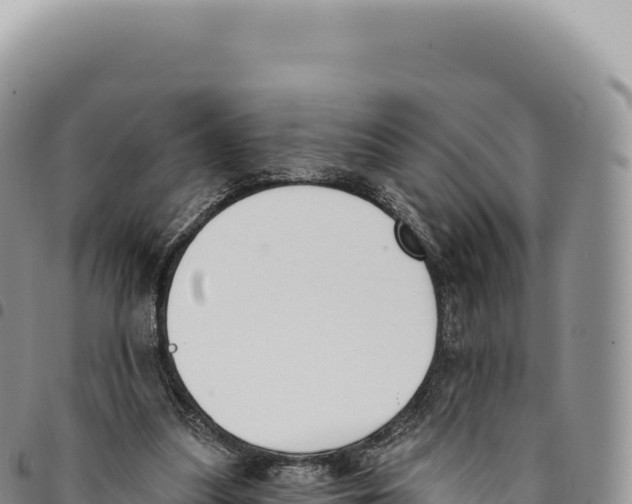 X0000093360251200711081521
