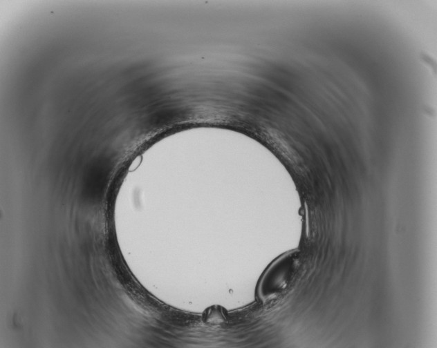 X0000093360252200711081521