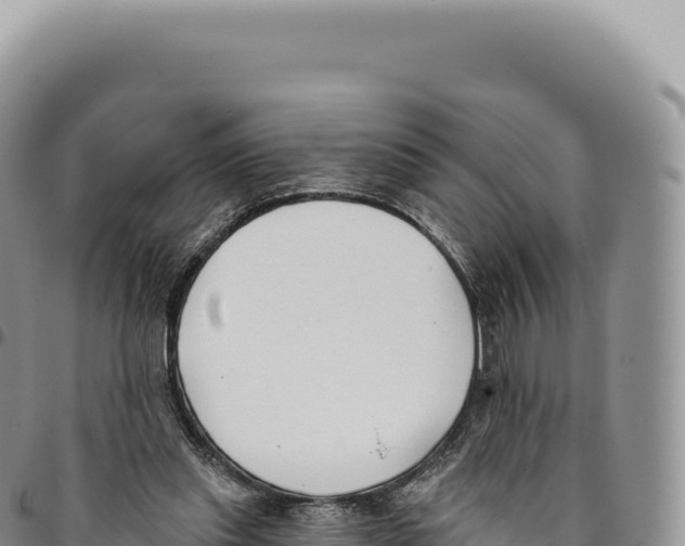 X0000093360253200711081521