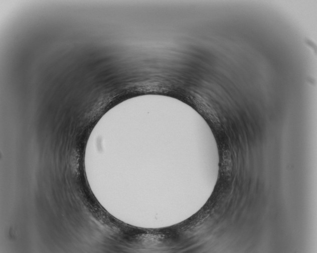 X0000093360255200711081521