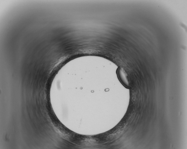 X0000093360256200711081521
