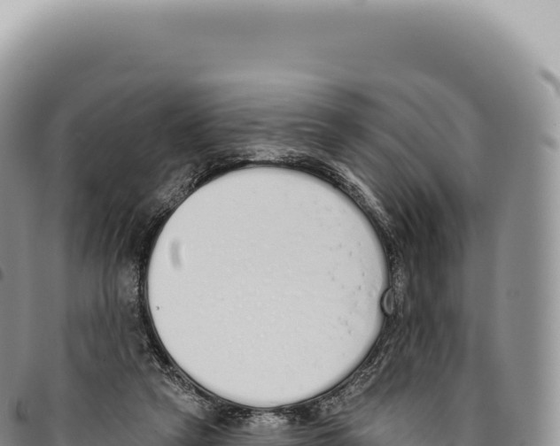 X0000093360257200711081521