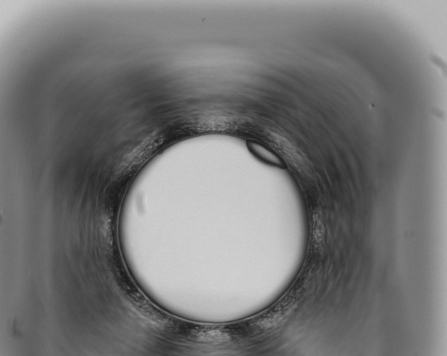 X0000093360258200711081521