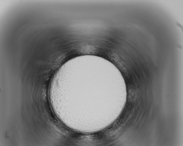 X0000093360259200711081521