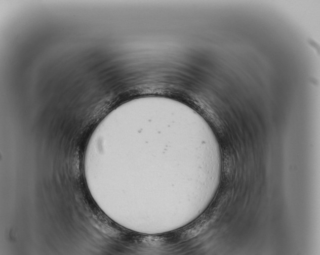 X0000093360261200711081521
