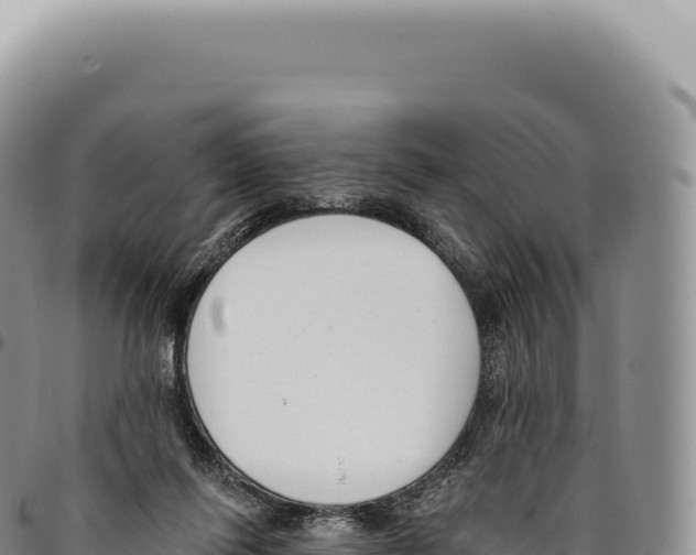 X0000093360262200711081521