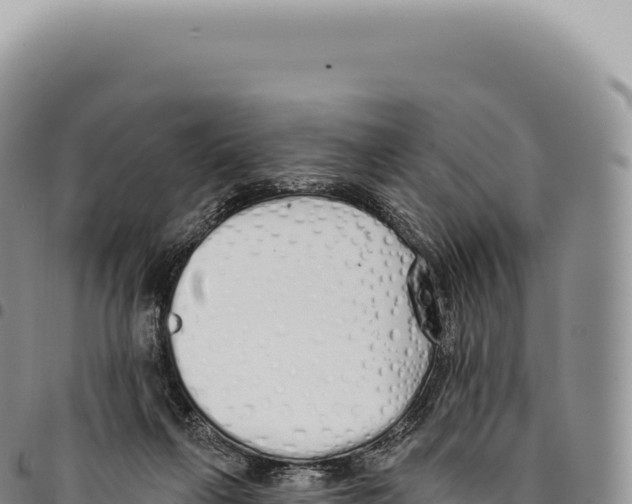 X0000093360263200711081521