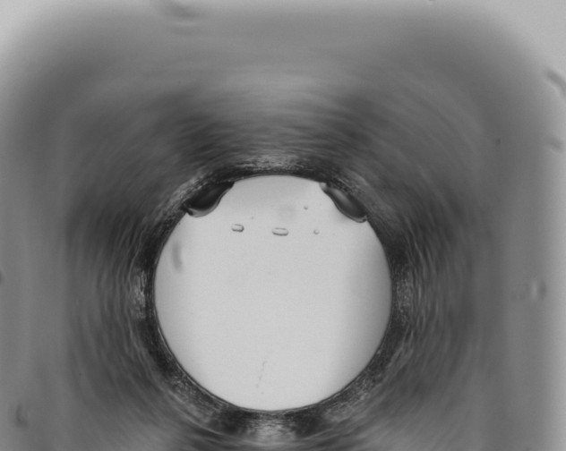 X0000093360264200711081521