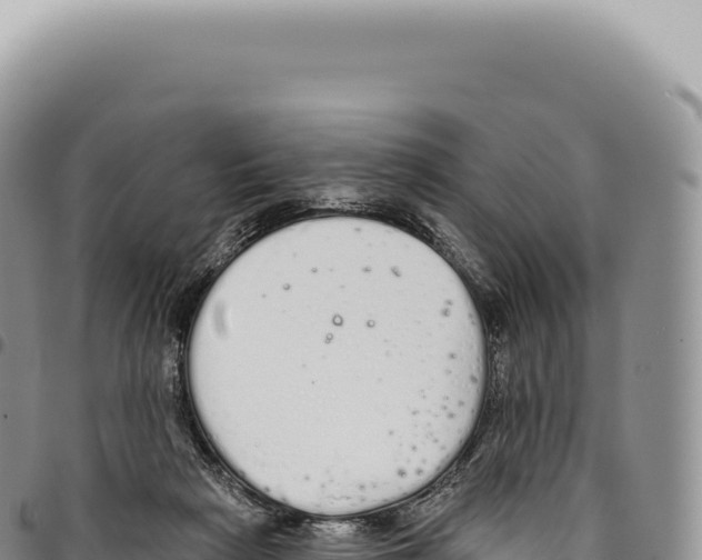 X0000093360265200711081521