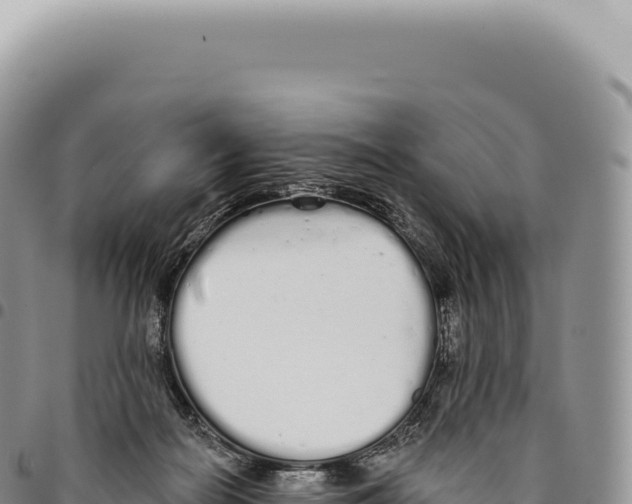 X0000093360266200711081521