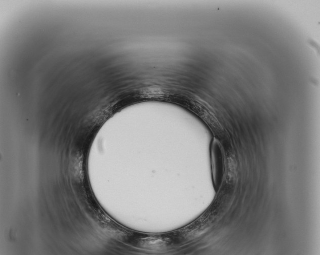 X0000093360267200711081521