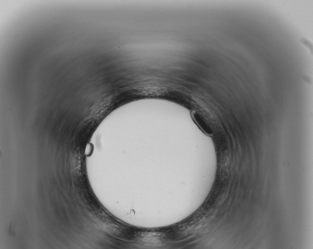 X0000093360268200711081521