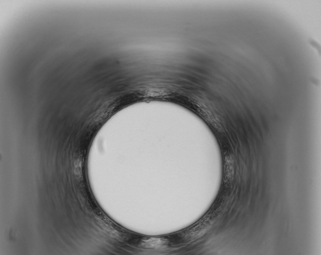X0000093360269200711081521