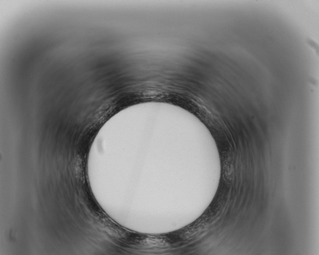 X0000093360270200711081521