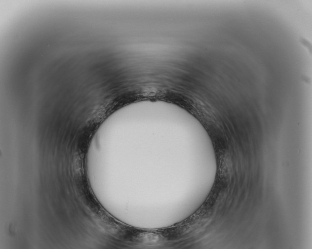 X0000093360272200711081521