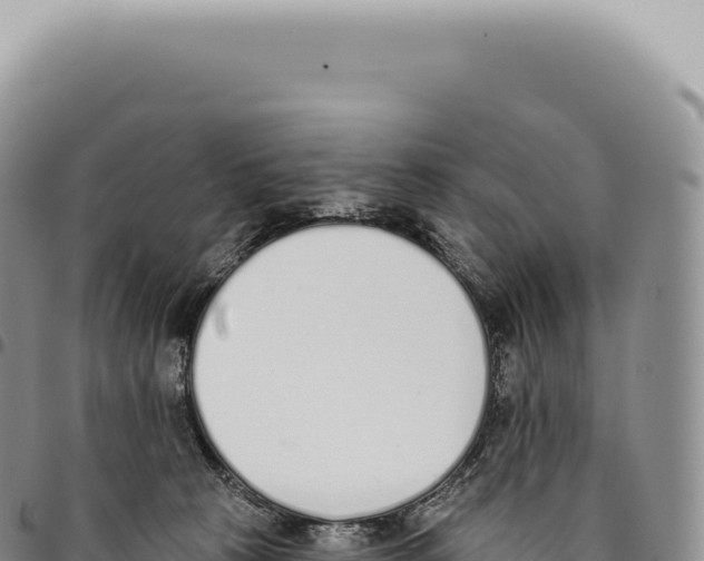 X0000093360273200711081521