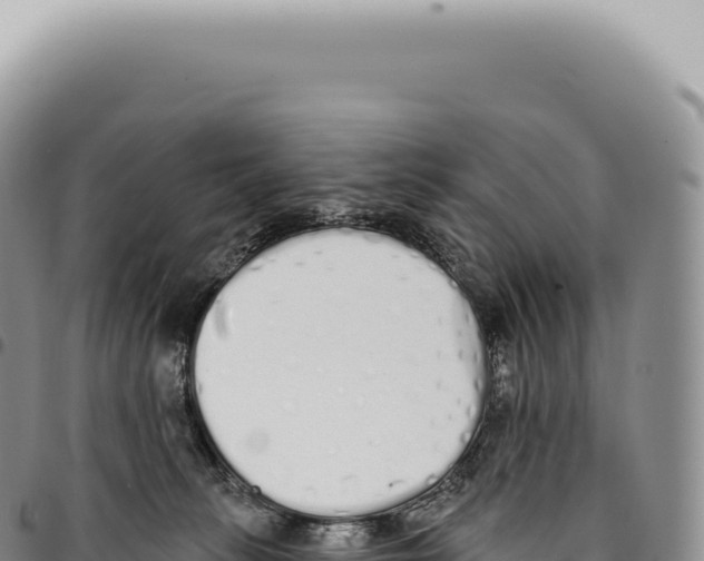 X0000093360275200711081521