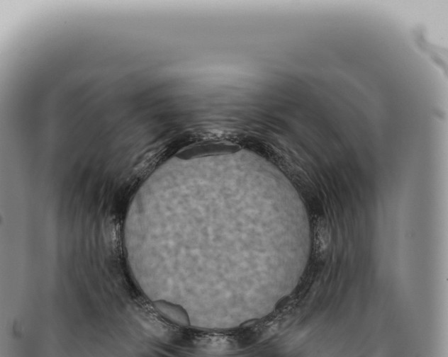 X0000093360276200711081521
