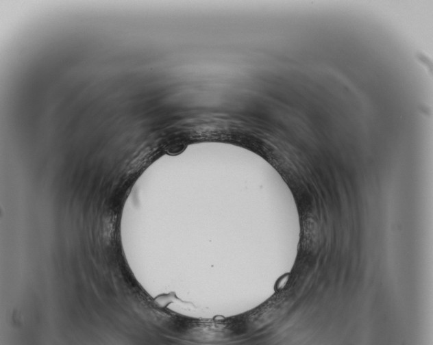 X0000093360278200711081521