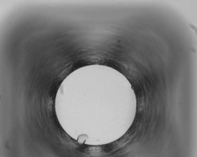 X0000093360279200711081521