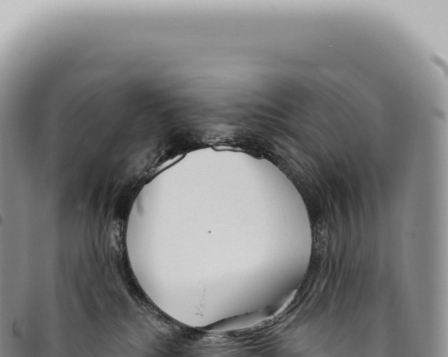 X0000093360280200711081521