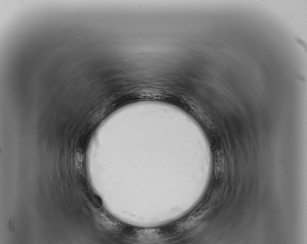 X0000093360281200711081521