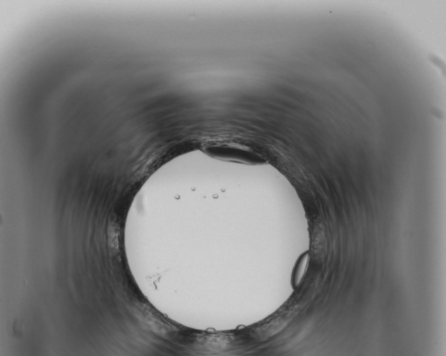 X0000093360282200711081521