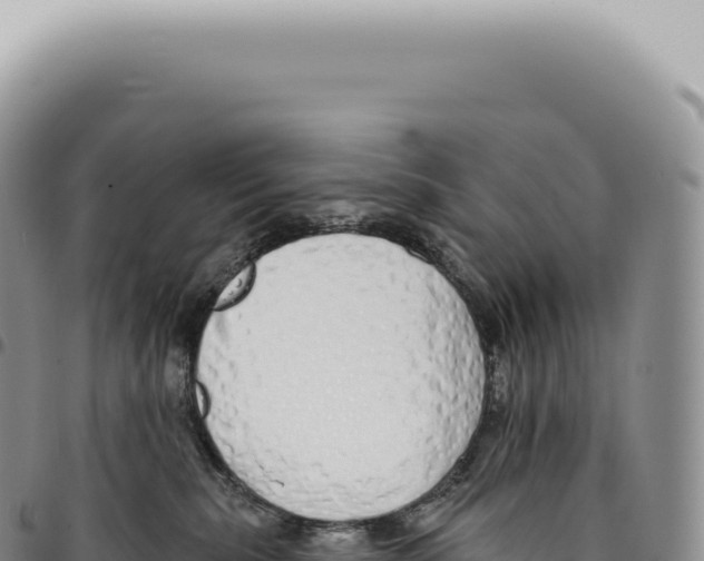 X0000093360283200711081521