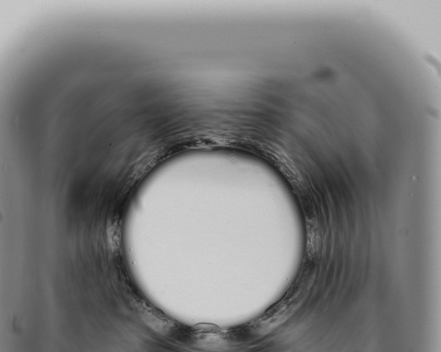 X0000093360285200711081521