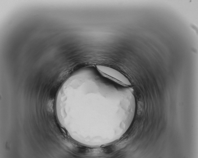 X0000093360286200711081521