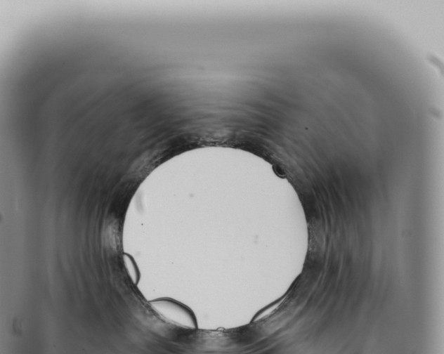 X0000093360287200711081521