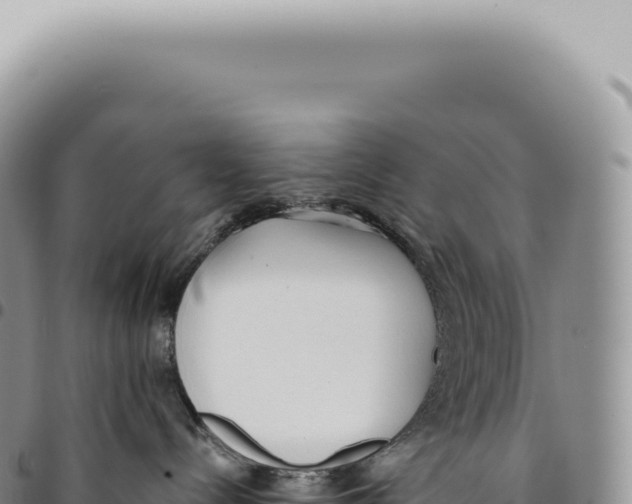 X0000093360288200711081521