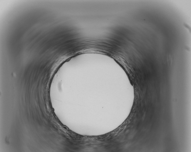X0000093360289200711081520