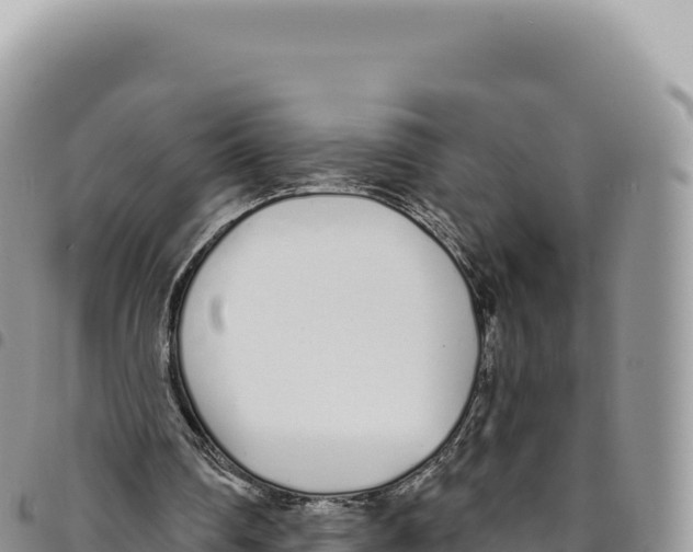 X0000093360290200711081520